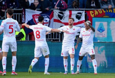 Fiorentina Dekati Zona Eropa 