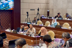 Rapat Komisi V DPR RI, Edi Purwanto Suarakan Persoalan Banjir di Jambi