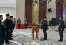 Evaluasi Direksi BUMD Wajib, Buntut Mundurnya Direktur PT Siginjai Sakti