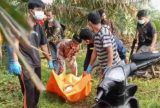 Wanita Ditemukan Tewas dan Dikubur di Kebun Sawit, Terduga Pelaku Pria Berinisial J Diamankan Polisi 