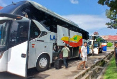 Jumlah Penumpang Meningkat 20 Persen  Dibanding Musim Mudik Tahun Lalu 