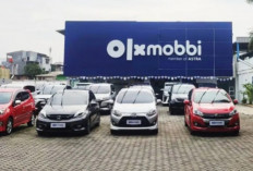 Wanita Wajib Tahu, Tips Aman Membeli Mobil Bekas agar Tidak Tertipu