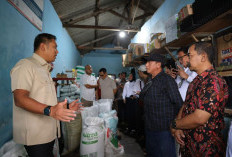 Harga Pupuk Subsidi Turun 20 Persen 