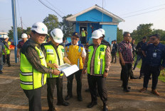 Nyaris Amblas Digerus Abrasi, Wali Kota Jambi dan Anggota DPR RI Turun Gunung