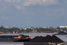 Harga Batu Bara Kembali Turun, Periode II November Cuma 102 Dolar AS per Ton