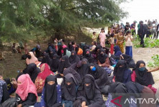 Pengungsi Rohingya di Aceh Tersisa 429 orang