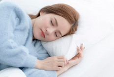 Manfaat Tidur Siang Bagi Orang Dewasa