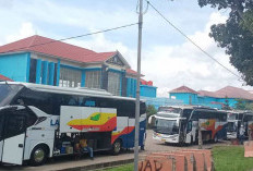 Pendaftaran Mudik Gratis Dibuka Hari ini, 520 Bus untuk Mudik Gratis Disiapkan