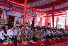 Bupati BBS Dampingi Gubernur Al Haris Launching Koperasi Merah Putih