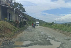 Jalan Nasional di Kerinci Rusak Parah 