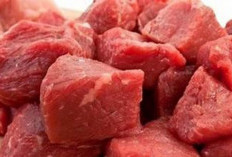 Simak! Batas Aman Menyimpan Daging Kurban Idul Adha di Kulkas