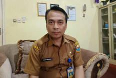Pengusulan PPPK Paruh Waktu Mulai Diproses