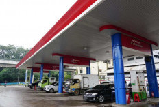 Pemerintah akan Rapat dengan Pertamina dan SPBU Swasta, Kelangkaan BBM Shell dan BP