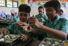 BGN Paparkan Hasil Investigasi  Dugaan Ompreng MBG Mengandung Minyak Babi