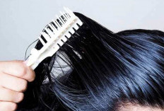 Penyebab dan Cara Efektif Atasi Rambut Berminyak, Agar Tidak Mudah Lepek