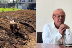 Viral Aksi Nyeleneh Dosen UIN Malang Pura-Pura Stroke hingga Guling di Jalan, Ada Apa?