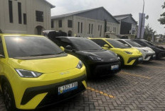 BYD Kuasai Lebih dari Setengah Pasar EV, Jadi Pemimpin Mobil Listrik di Indonesia