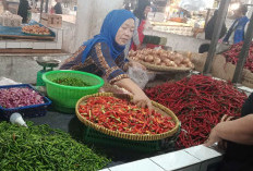 Waduh Harga Cabai di Kota Jambi Naik Lagi, Ini Kata Pedagang Pasar Talang Banjar