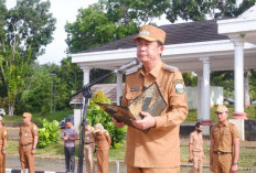 Bupati BBS Tegaskan ASN Muaro Jambi Dilarang Main Judol, Ancam Akan Diberikan Sanksi