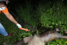 Diduga Sakit Jantung, Ramli Ditemukan Meninggal di Kebun Karet