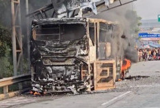 Bus Damri Terbakar, Seluruh Penumpang Berhasil Diselamatkan