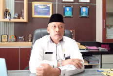 Pengangkatan PPPK Paruh Waktu, BKPSDM Bungo Siapkan Data Validasi 