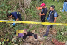 Mayat Wanita Paruh Baya Ditemukan Membusuk di Kebun Karet, Penyebab Kematian Masih Misterius