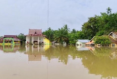 Sejumlah Pemukiman di Tebo Kembali Dilanda Banjir, Begini Kondisinya