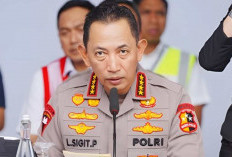  87 Kontainer Fatty Matter Disita, Polri Dalami Modus Penghindaran Pajak Ekspor Produk Turunan CPO