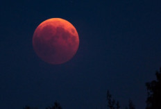 Puncak Gerhana Bulan Total di Bali Diprediksi Terjadi 8 September Pukul 02.11 WITA