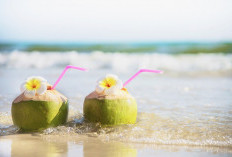 Penyakit yang Bisa Disembuhkan dengan Minum Air Kelapa