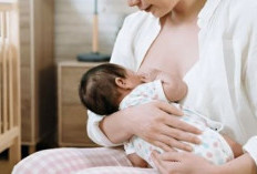 Ini 9 Cara Alami Agar ASI Melimpah: Tips Menyusui Lancar dan Berkualitas untuk Si Kecil