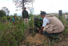 Aksi Tanam 10.000 Pohon di Hutan Harapan