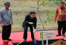 Puan Minta TPN Ganjar-Mahfud Bicarakan Lagi Soal Debat Capres-Wacapres