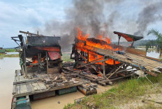 57 Alat Berat PETI Dibakar, Penambang Ilegal di Bungo Kosongkan Lokasi