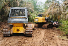 Satgas TMMD ke-123 Kodim 0416/Bute Kebut Peningkatan Jalan