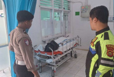  Siswi Asal Kota Jambi Tewas Kecelakaan, Terlibat Laka di Jalan Lintas Jambi-Muarasabak Tanjab Timur