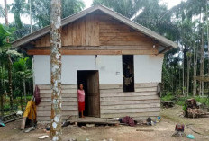 5.141 Rumah Belum Teraliri Listrik, Pemkab Tanjab Timur akan Ajukan Usulan ke PLN