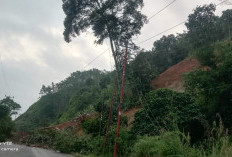 Jalur Kerinci-Bangko Kembali Lumpuh, Jalan di Muara Emat Alami Longsor