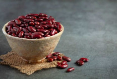 Manfaat Kacang Merah untuk Kesehatan