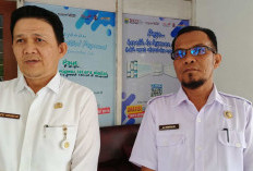 6 Pejabat Nonjob Dipanggil BKN