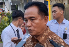 Yusril Sebut Perppu Perampasan Aset Belum Mendesak