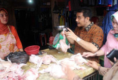 SAH Sarankan Pemda Gelar Operasi Pasar Daging Murah