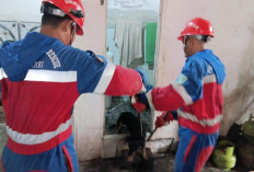 Damkartan Kota Jambi Evakuasi Anjing Liar