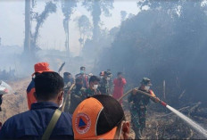 Puncak Kemarau, BPBD Tebo Catat 58 Titik Panas di Bulan Juli