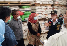 Ekonomi Jambi Triwulan I Tumbuh 4,55 Persen, Transportasi dan Konsumsi Rumah Tangga Jadi Penggerak Utama