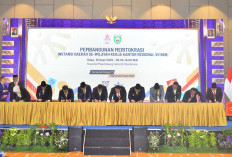 Di Hadapan Kepala BKN, Maulana Tegaskan Komitmen Meritokrasi ASN di Kota Jambi