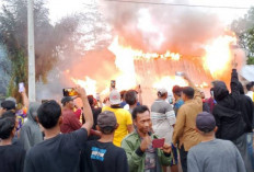 Harimau Kembali Terkam Manusia di Lampung Barat, Warga Bakar Balai TNBBS