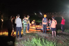 TKP Korban Tenggelam di Tanjab Timur Dihuni Buaya Liar dan Berarus Deras, Ini yang Dilakukan Tim SAR