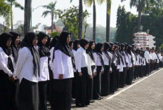Jadwal Pelantikan CPNS dan PPPK Batanghari Belum Jelas, BKPSDM : Kami Masih Menunggu